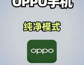 oppo手机开发者形式,什么是OPPO手机开发者形式？