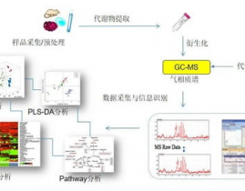 代谢组学数据库,生物信息学的重要东西