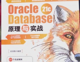 oracle业务,根底、办理与运用