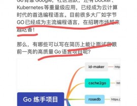 go什么意思中文,Go言语及其在编程范畴的运用