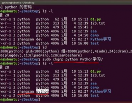 python调用linux指令,深化解析Python调用Linux指令的多种办法