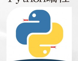 python编程是什么,什么是Python编程？