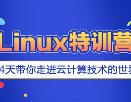 在线linux训练,敞开你的技能之旅