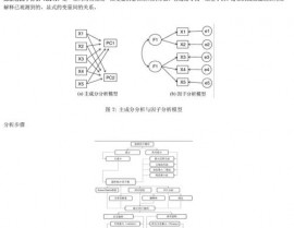 r言语因子剖析,原理、运用与实例