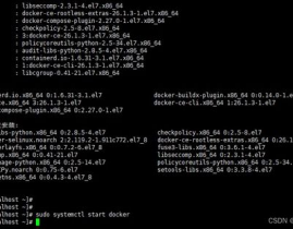 linux检查docker版别,Linux体系中检查Docker版别的办法详解