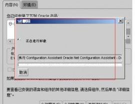 卸载oracle11g,卸载oracle11g进程