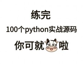 python解说器是什么,编程国际的翻译官