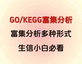 go富集剖析,提醒基因功用与生物学途径的要害东西