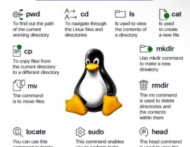 开源体系linux,开源的力气，引领现代核算机国际的革新