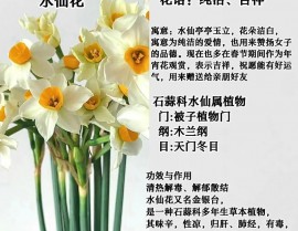 水仙花数python,什么是水仙花数？