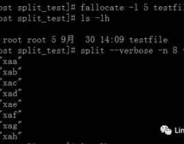 linux切割文件