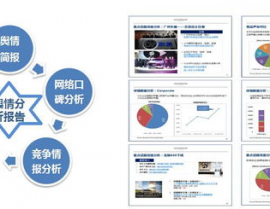 大数据舆情,新时代舆情办理的利器