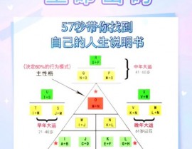 八字数据库,深化解析八字数据库——揭秘命理学的数字国际