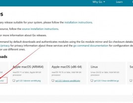 go 装置包,二、下载Go言语装置包