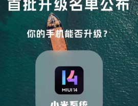 小米手机开发版,探究与立异的舞台