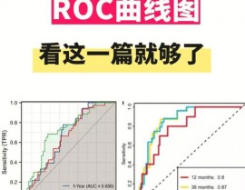 r言语roc曲线,办法与实践