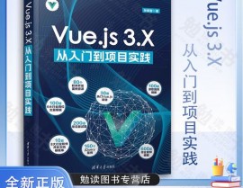 vue开发,从入门到实践