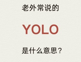 机器学习yolo,什么是YOLO？