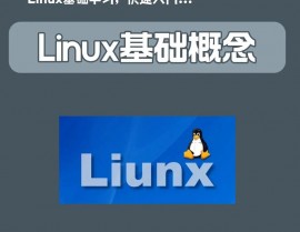 看linux版别,从入门到通晓