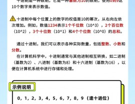 python进制转化, 常见进制介绍