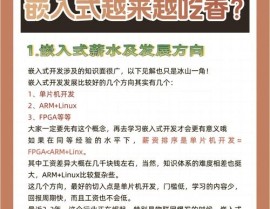 嵌入式底层开发,中心技能解析与未来趋势