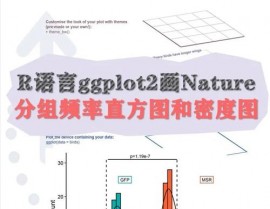 r言语直方图,深化解析数据散布的利器