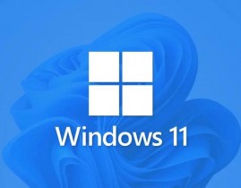 windows装体系,轻松把握装置进程