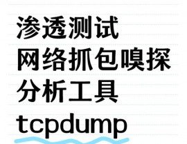 linux抓包,Linux网络抓包东西tcpdump详解与运用指南