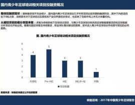 足球大数据剖析,揭秘现代足球的才智革新