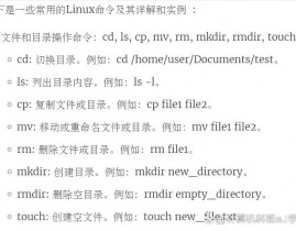 linux指令操练