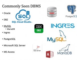 oracle和sql,深化了解与高效运用