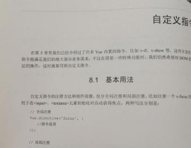 vue自界说指令, 什么是Vue自界说指令？