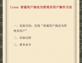 linux入门训练,敞开你的体系办理员之旅