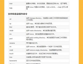 linux 管道符,高效处理指令输出的利器