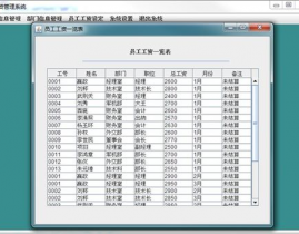 数据库薪酬办理体系,企业高效薪酬办理的利器