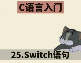 java switch句子用法, 什么是switch句子？