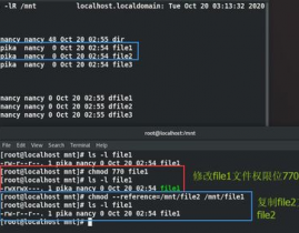 linux中chmod,什么是chmod指令？