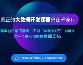 大数据工程师干不过35,大数据工程师干不过35岁？揭秘工作现状与工作开展