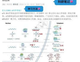 甲基化数据库,表观遗传学研讨的强壮东西