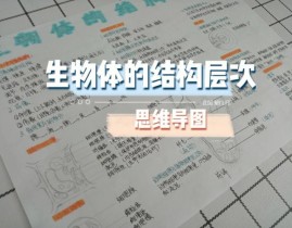 结构体c言语