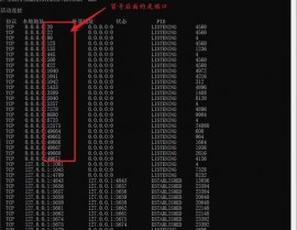 linux检查进程占用端口