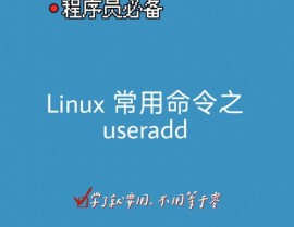 linux怎样创立用户,Linux用户创立概述