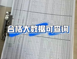 大数据分数怎样查,大数据分数怎么查询——全面攻略