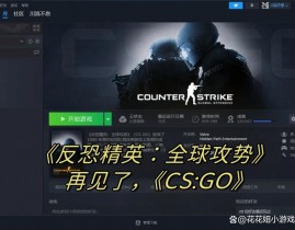 反恐精英go,全球攻势（CS:GO）简介