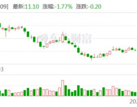 新开源集团,精密化工范畴的领军者