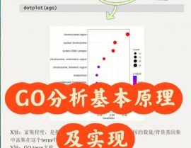 骑缘go,骑缘Go——探究骑行与科技交融的新篇章