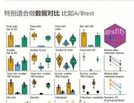 R言语,R言语在数据科学中的运用与优势