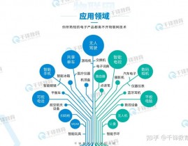 嵌入式网络,技能开展与使用远景