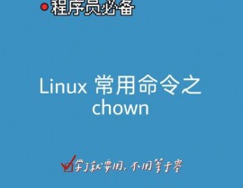 linux修正文件夹所属用户,linux修正文件夹所属用户和组