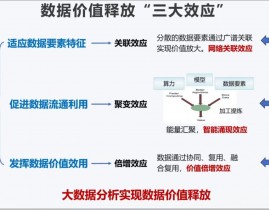 数据库数据,数据库数据的重要性